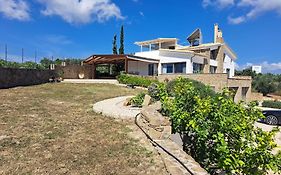 Assini View